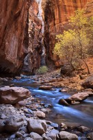zion national park, autumn, 